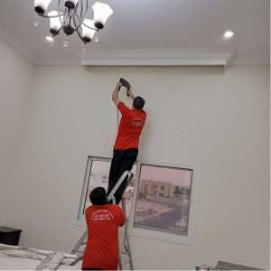 movers-and-packers-in-uae in UAE