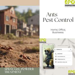 Eradicators Pest Control & Cleaning Services - Al Habtoor Business Tower - Dubai marina, Dubai eradicators-pest-control-cleaning-services in UAE