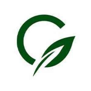 grass-carpet_UAE