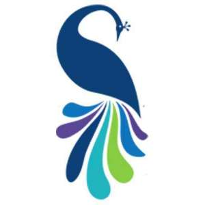 southern-express-pest-control--cleaning-services-uae