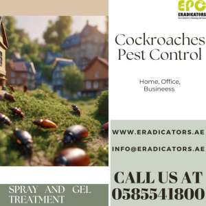 cockroach-control-UAE